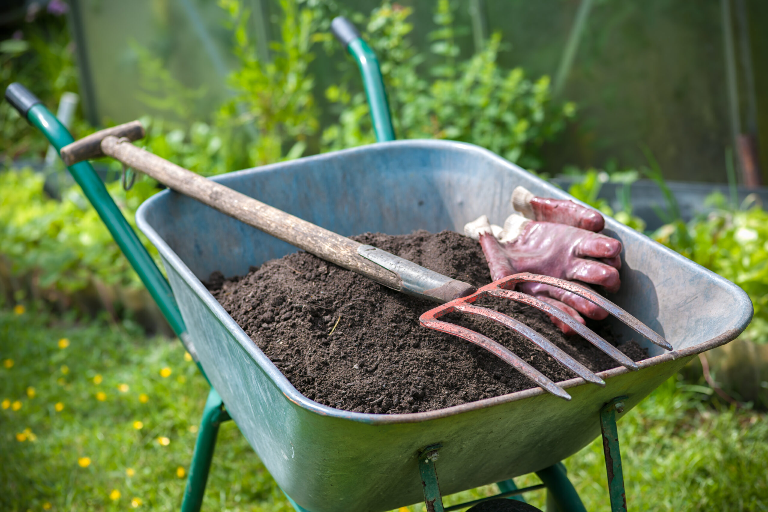 Fourche et gants de jardinage dans une brouette pleine d'humus