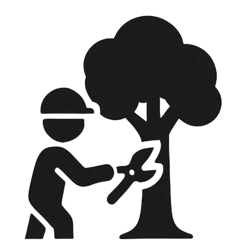 Élagage lequesne paysage