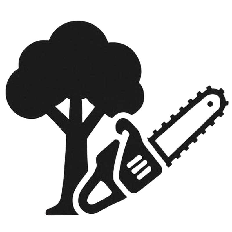 Abattage lequesne paysage