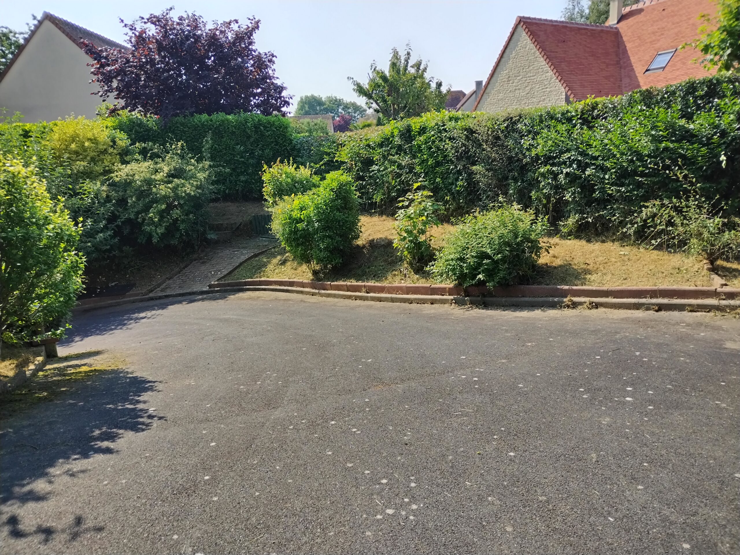 Entretien d'un jardin a caen par lequesne paysage